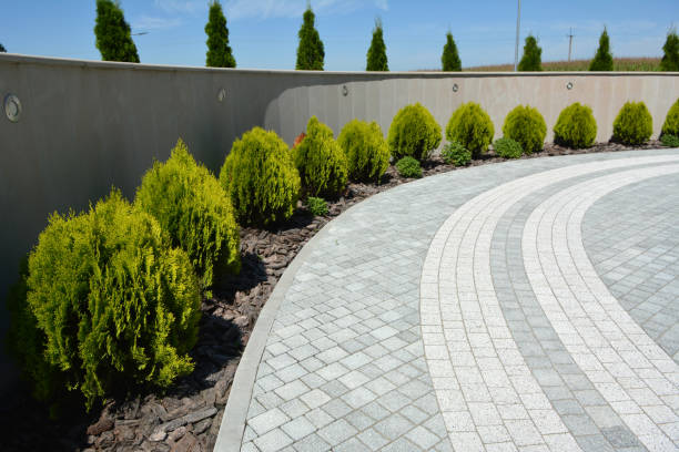 Best Decorative Driveway Paving in Socorro, TX